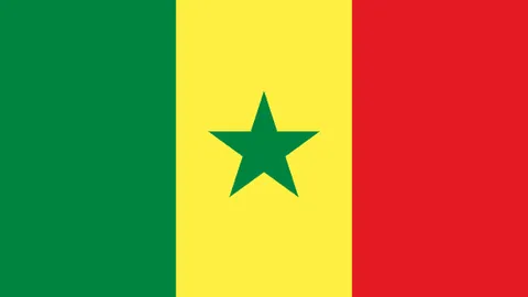 斯瓦泰克轻松击败拉杜卡努，挺进澳网女单16强